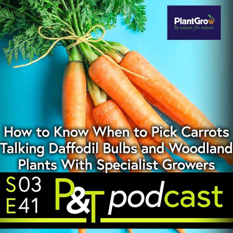 cover art for How do you Know When to Pick Carrots? Talking Daffodil Bulbs and Woodland Plants with Specialist Growers