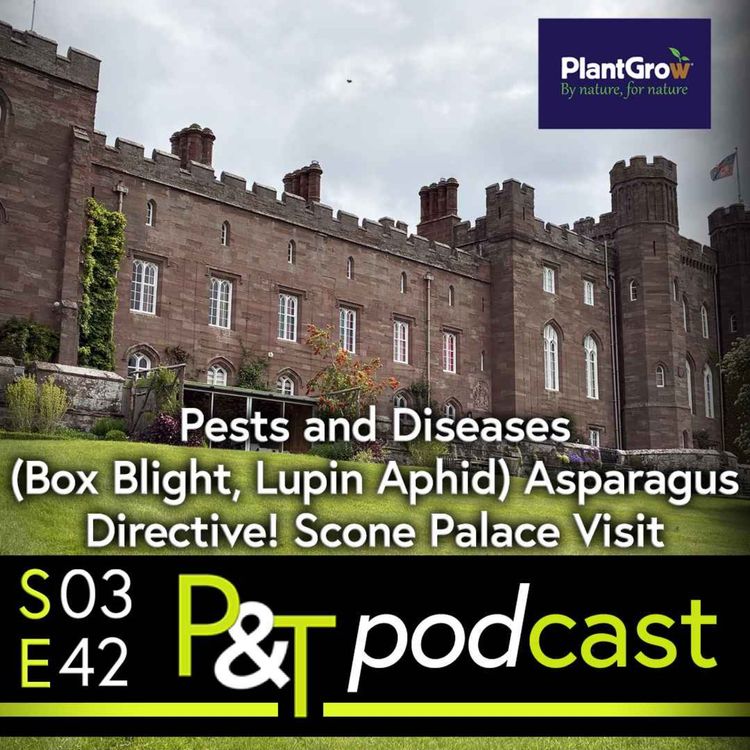 cover art for Pests and Diseases (Box Blight, Lupin Aphid) and Asparagus Directive! Plus Scottish guests from Scone Palace Visit