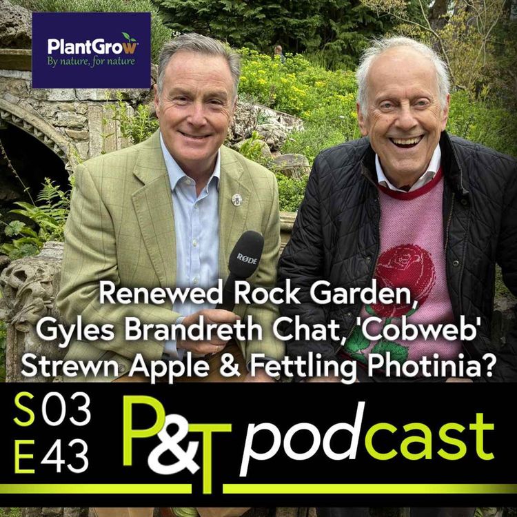 cover art for Renewed Rock Garden, Gyles Brandreth Chat, 'Cobweb' Strewn Apple & How to Fettle Photinia?