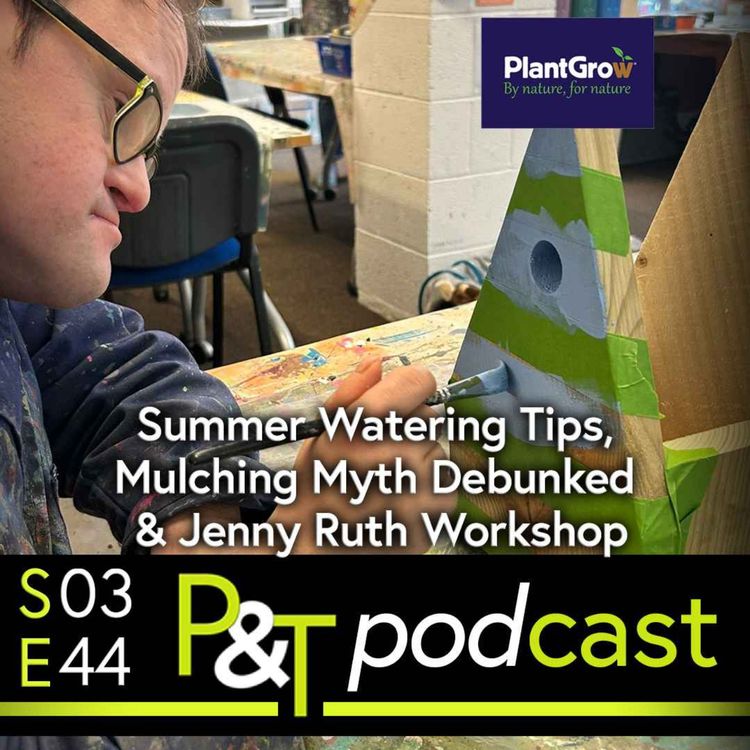 cover art for Summer Watering Tips, Mulching Myth Debunked & JennyRuth Workshop chat!