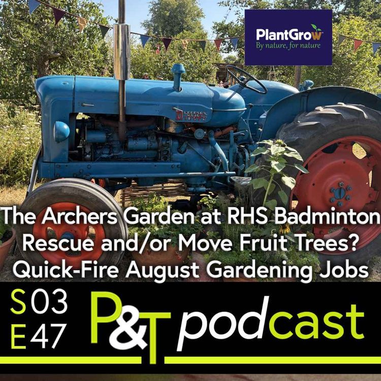 cover art for The Archers (BBC Radio 4) Garden at RHS Badminton, Rescue or Move Fruit Trees & Quick-Fire August Garden Jobs!