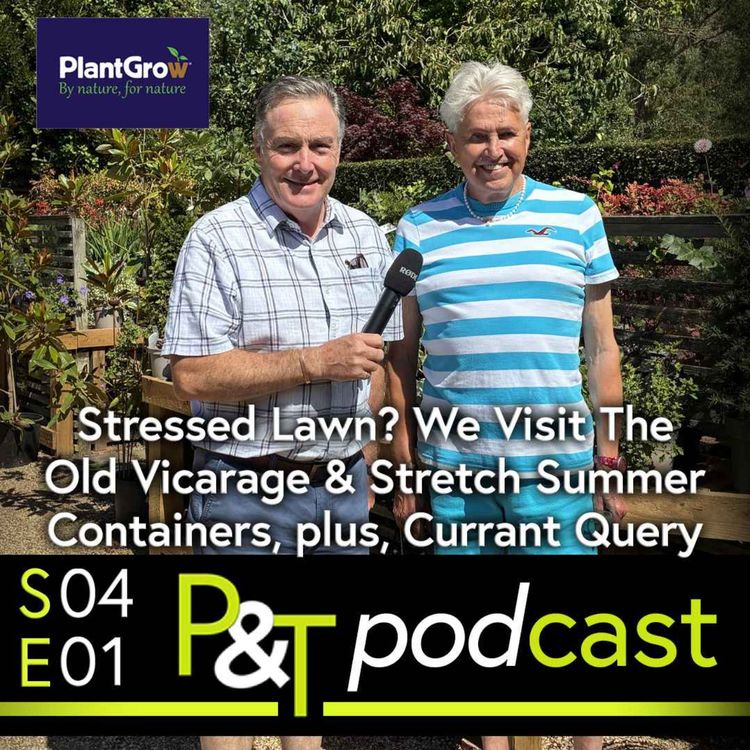 cover art for Stressed Lawn? Stretching Summer Containers, Plus Currant & Fruit Pruning Queries - Season Four Starts with a Bang!