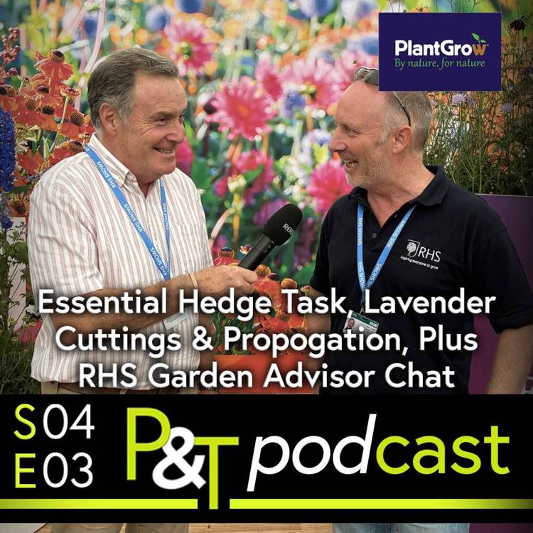 cover art for Essential Hedge Task, Lavender Cuttings & Propogation, Plus, RHS Garden Advisor Chat