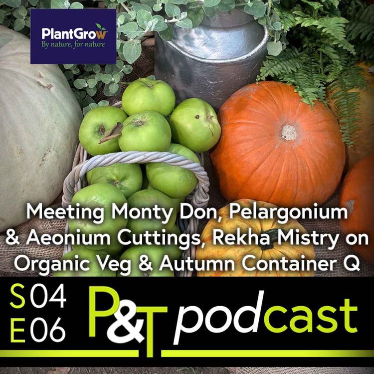 cover art for Meeting Monty Don, Pelargonium & Aeonium Cuttings, Rekha Mistry on Organic Veg & Autumn Container Q