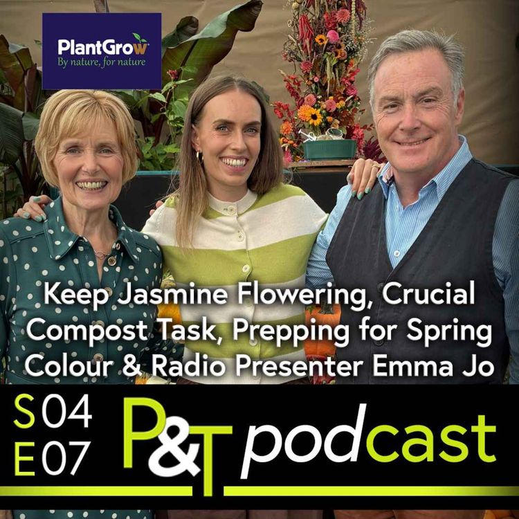 cover art for Keep Jasmine Flowering, Crucial Compost Task, Prep for Spring Colour & Meet Radio Host Emma Jo