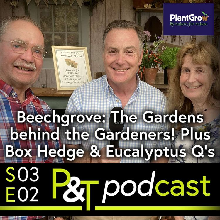 cover art for BBC Beechgrove Gardeners, Box Hedge & Eucalyptus Q's plus Early Bramleys!