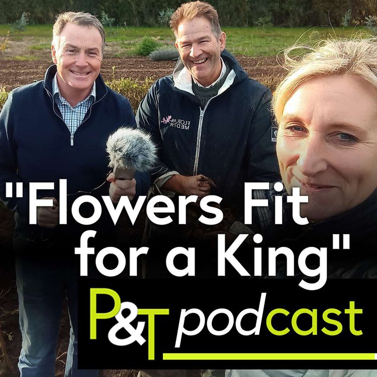 cover art for Flowers Fit for a King's Coronation (S01E03)