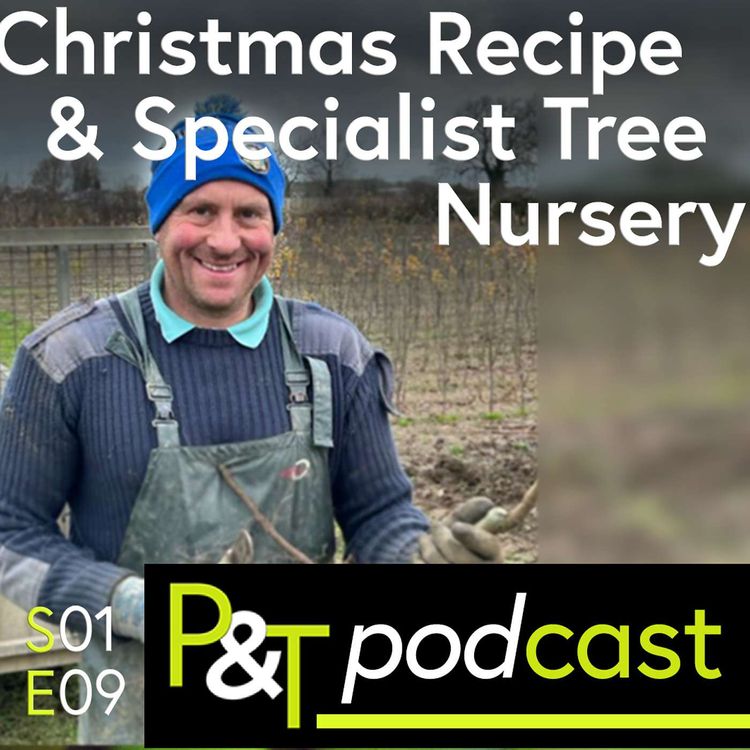 cover art for Specialist Tree Nursery, Christmas Recipe and some Festive Fun!