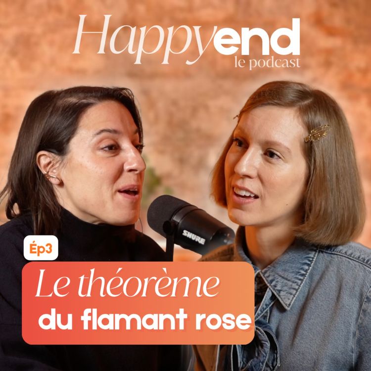 cover art for Le théorème du flamant rose