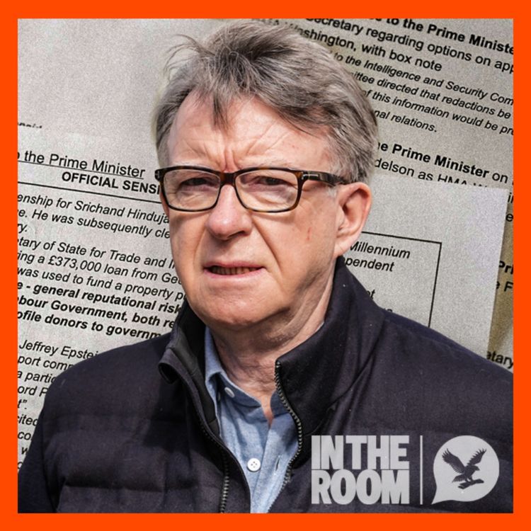 cover art for 4. Definitive guide to Mandelson files: All filler, no killer?