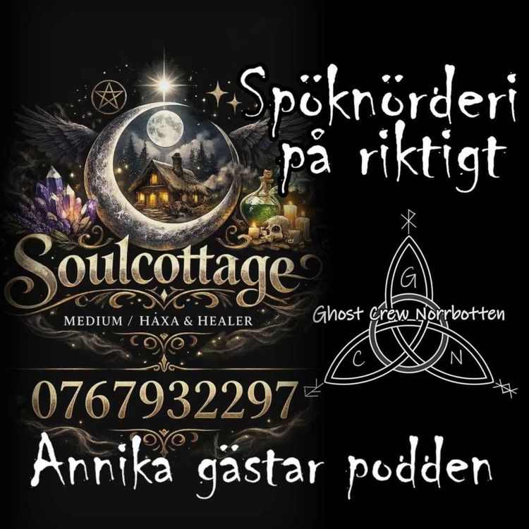 cover art for Annika - medium, häxa och healer berättar om skydd före, under och efter en paranormal utredning
