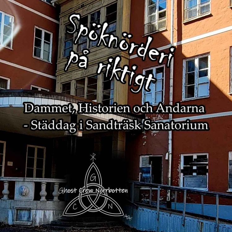 cover art for Dammet, Historien och Andarna - Städdag i Sandträsk Sanatorium