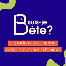 cover art for Suis-Je Bête
