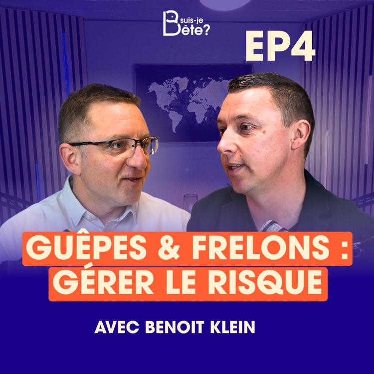 cover art for Suis-Je Bête Ep.4 avec Benoît Klein