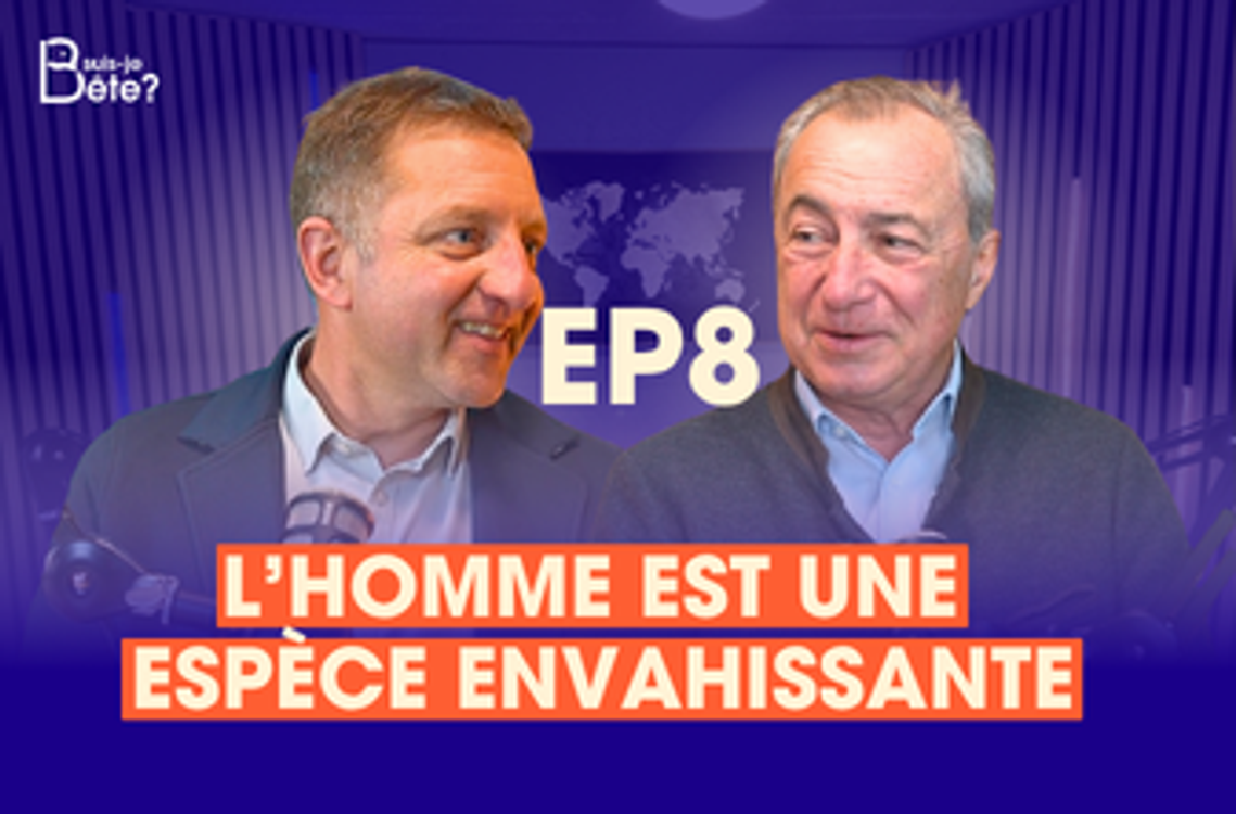 cover art for Suis-Je Bête Ep.8 avec Vincent Fière
