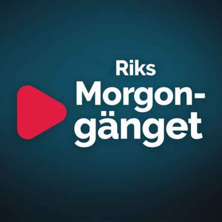 cover art for Morgongänget: Migrantkaos och pride