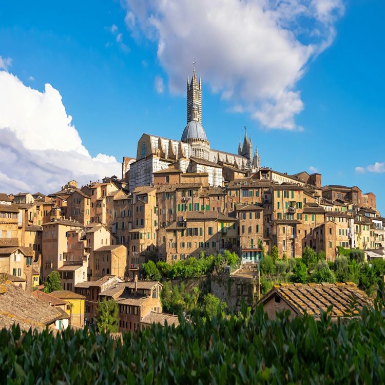 cover art for Siena walking tour guide. Discover the sights and history, find the best coffee and restaurants.