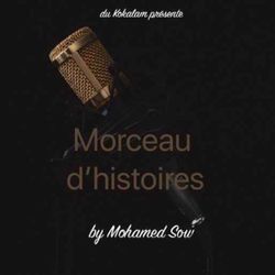 cover art for Morceau d'histoires