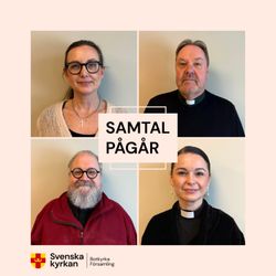 cover art for Samtal pågår