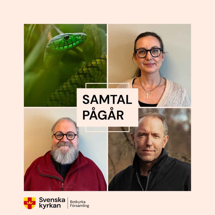 cover art for Mattias Klum