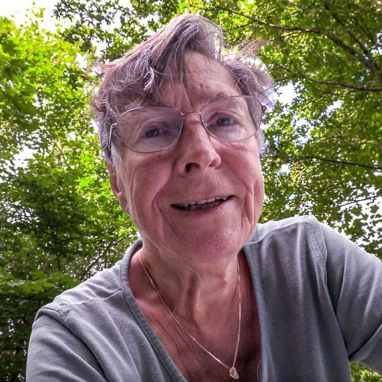 cover art for De skjulte konsekvenser. Om truslen for drikkevandet med Egholmmotorvejen