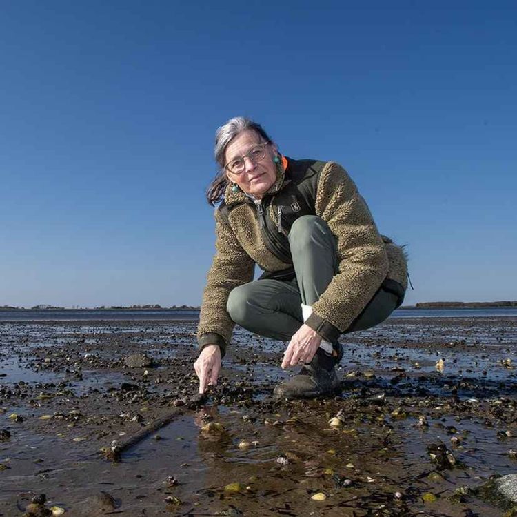 cover art for De skjulte konsekvenser. Om den skjulte asbest i Egholmlinjen