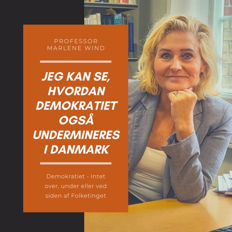 cover art for Professor Marlene Wind. Om borgernes risici og sikkerhed (1/3)