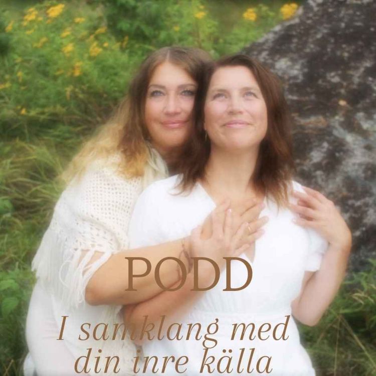 cover art for Universiellt Livsflöde