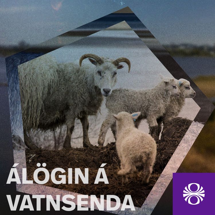 cover art for Álögin á Vatnsenda