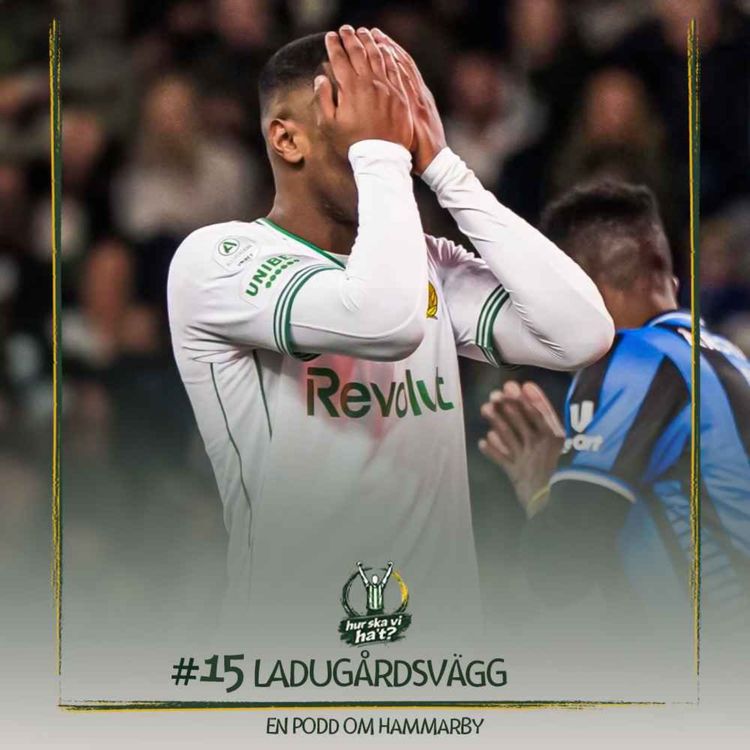 cover art for #15 Ladugårdsvägg