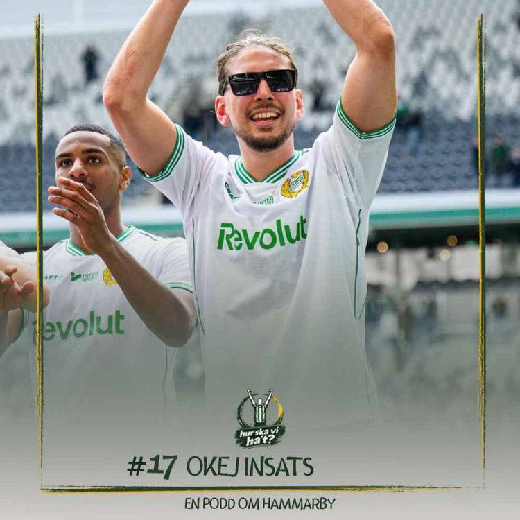 cover art for #17 Okej insats