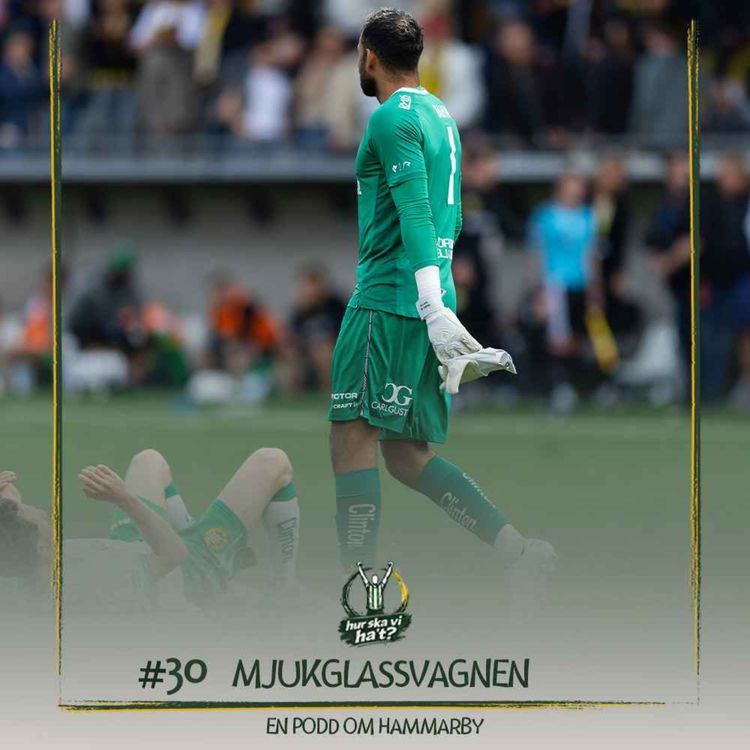 cover art for #30 Mjukglassvagnen