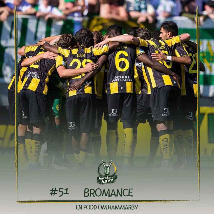 cover art for #51 Bromance