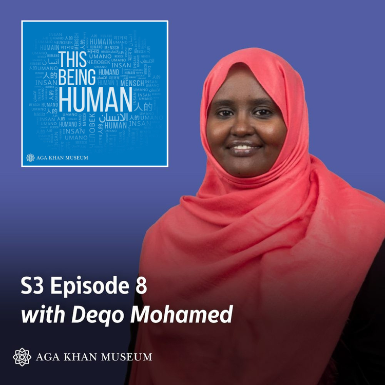 cover art for Episode 8 - Deqo Mohamed