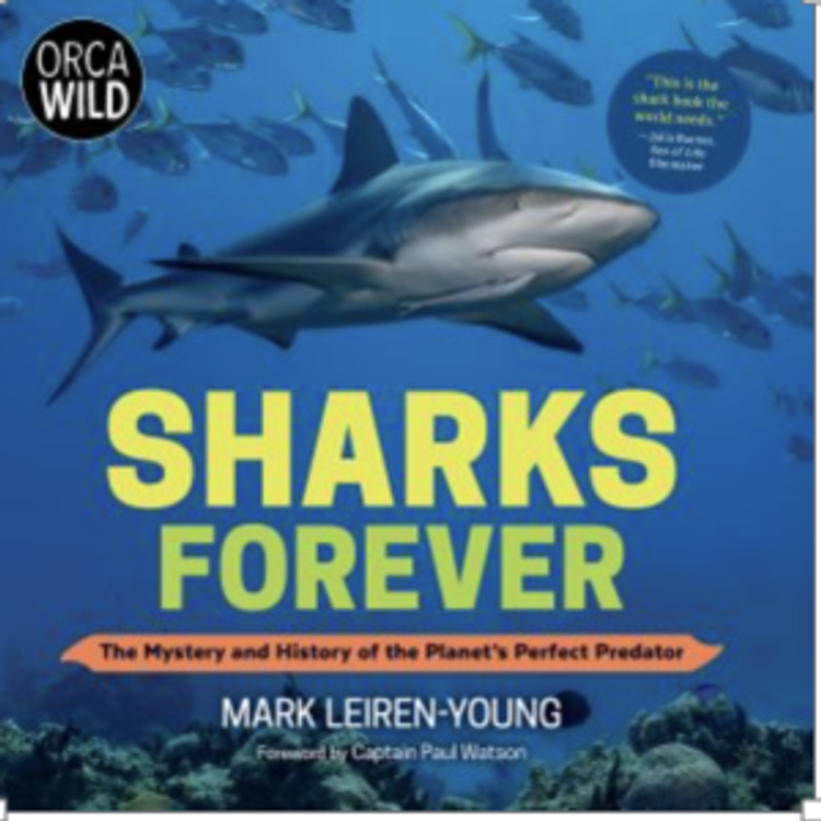 cover art for Sharks Forever and Jaws Forever?
