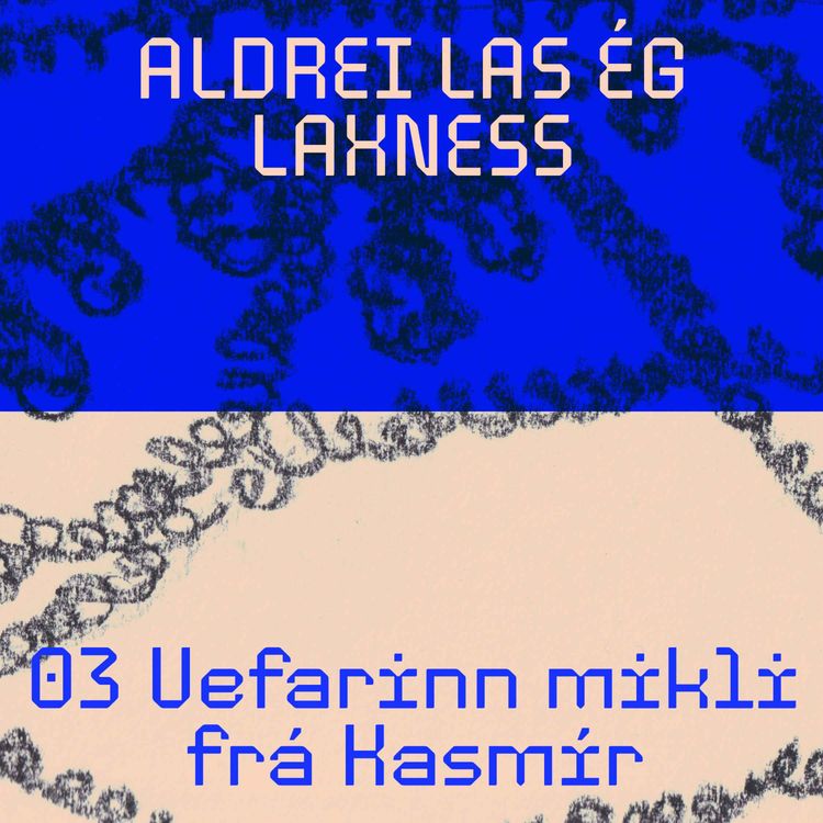 cover art for 03: Vefarinn mikli frá Kasmír
