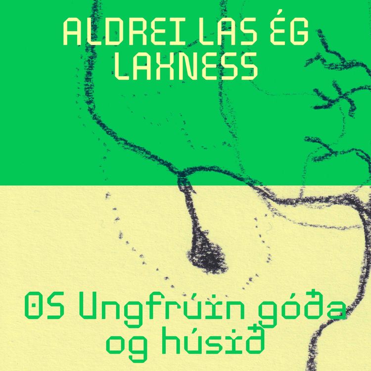 cover art for 05: Úngfrúin góða og Húsið