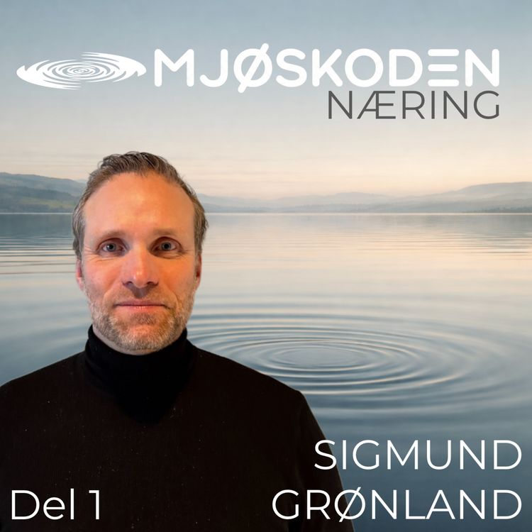 cover art for MJØSKODEN - Sigmund Grønland del 1