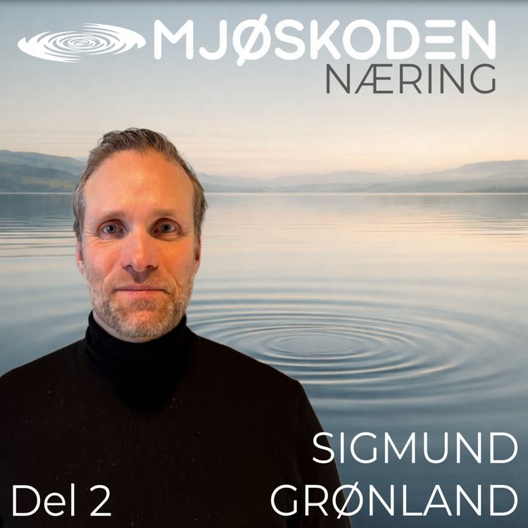 cover art for MJØSKODEN - Sigmund Grønland del 2