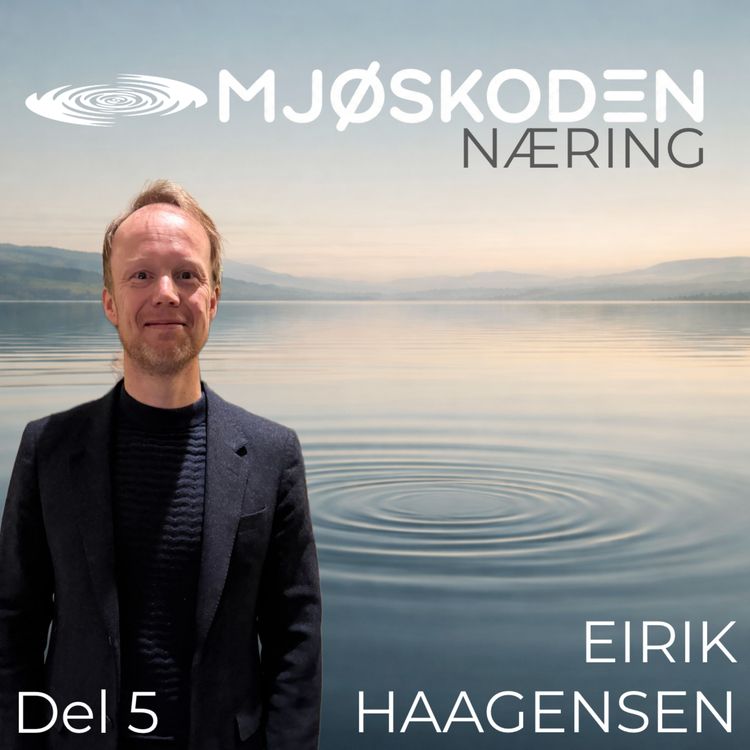 cover art for MJØSKODEN - Eirik Haagensen