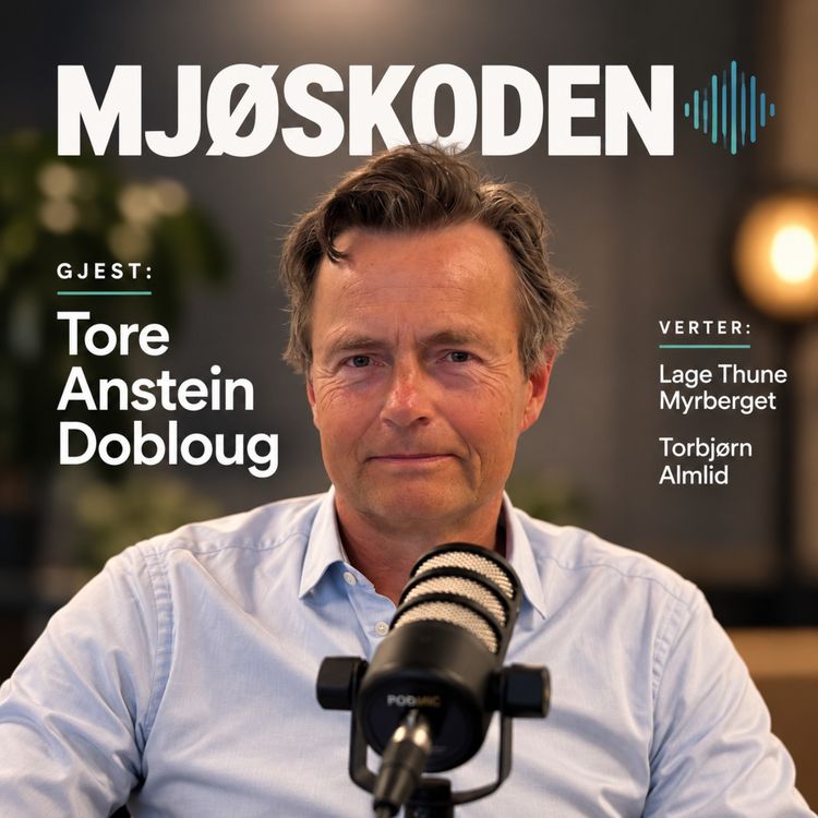 cover art for Debatten Hamar: Tore Anstein Dobloug