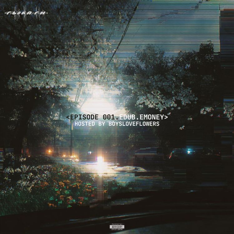 cover art for EDUB.EMONEY, INDEPENDENT AND DOMINANT 