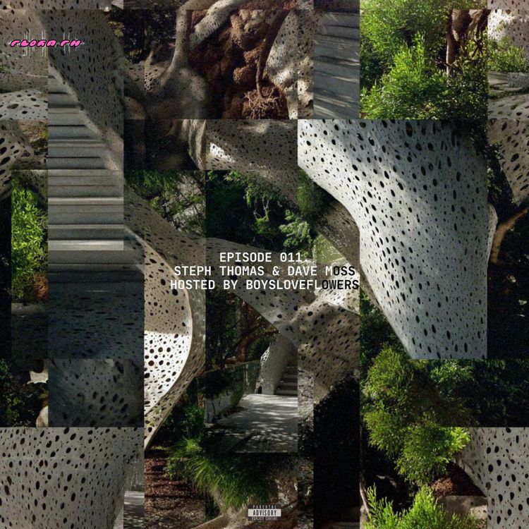 cover art for THERE ARE FLOWERS IN THE HUDDLE