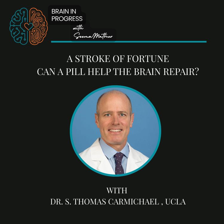 cover art for A Stroke of Fortune