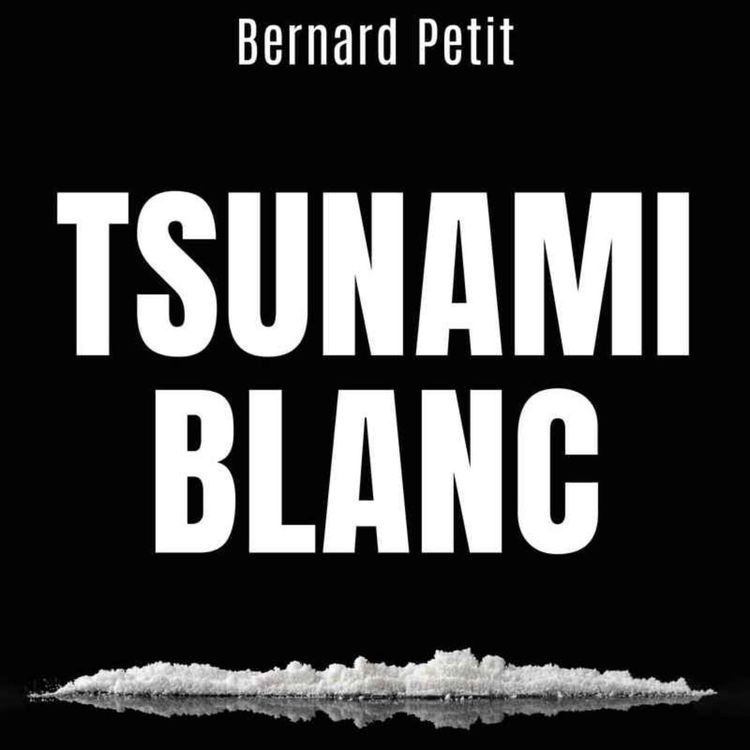 cover art for Bernard petit : tsunami blanc