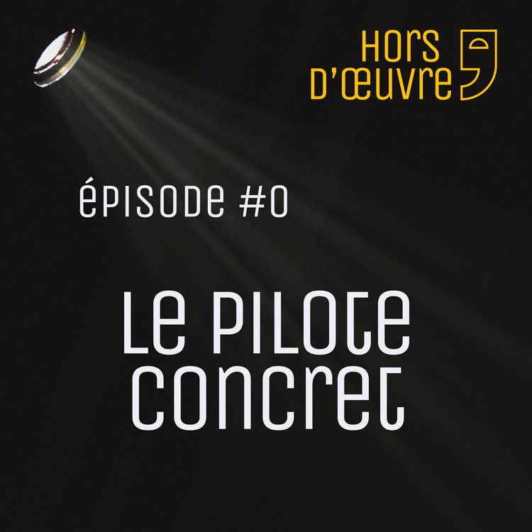cover art for Le pilote concret