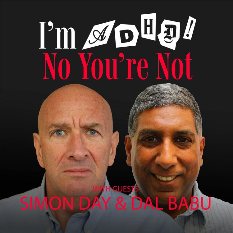 cover art for Someone’s Sitting There, Officer with Simon Day and Dal Babu OBE