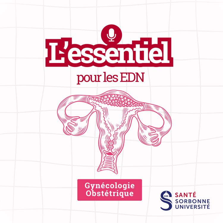 cover art for Retard de croissance intra-utérin｜Item 30