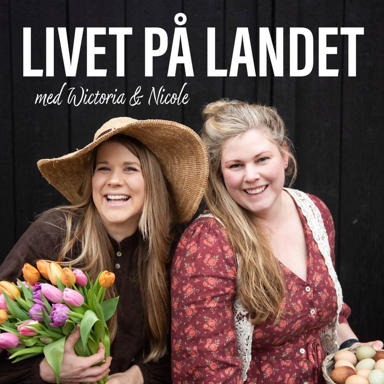 cover art for Avsnitt 23 - Sommar i Halland