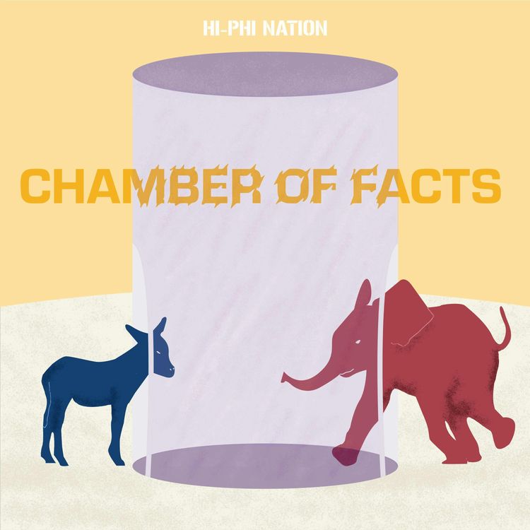 cover art for Chamber of Facts